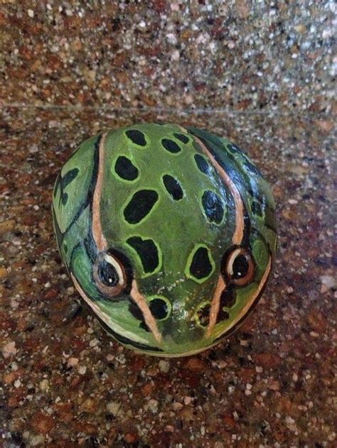 rock paint frog